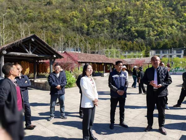 调研大瓦山湿地公园b