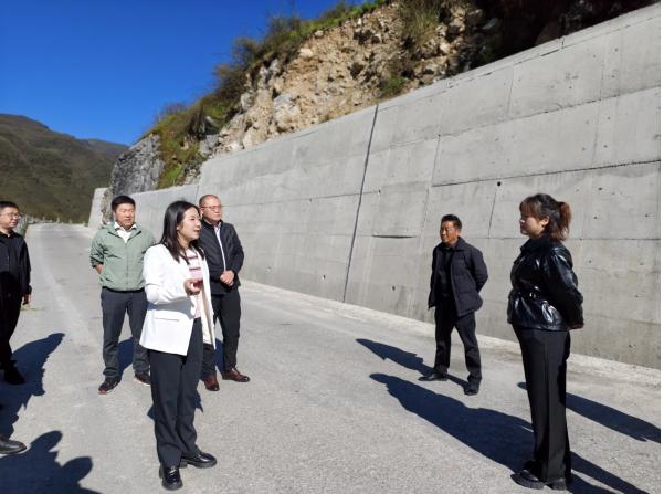 调研民生实事项目b