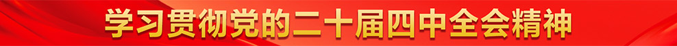 学习贯彻党的二十届四中全会精神