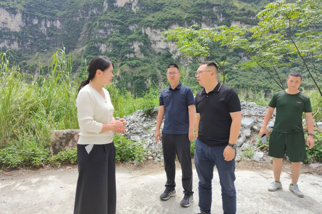 图片5