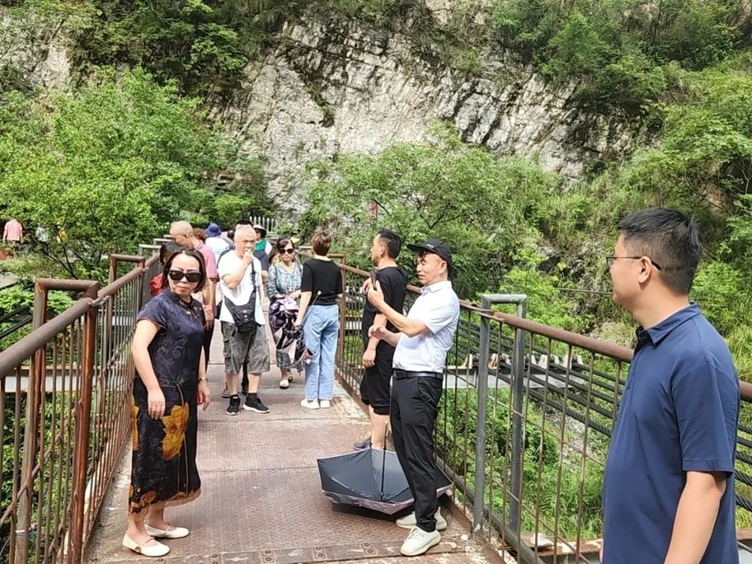图片17