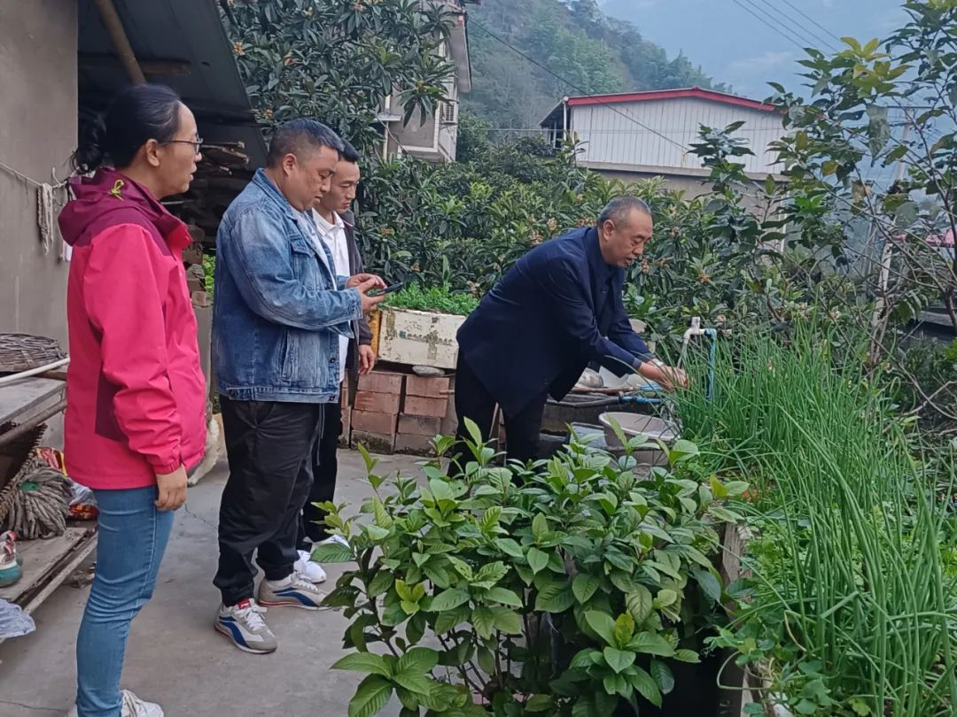 图片5
