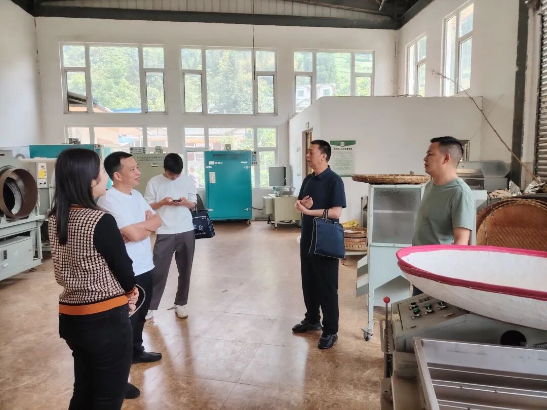 2026年5月19日，区人大常委会民法监司工委调研桅杆村茶叶加工厂生产经营情况。