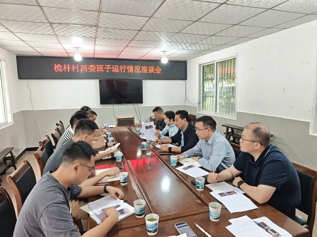 2026年5月22日，乡党委书记赵海波带队到桅杆村调研村“两委”班子运行情况并召开座谈会。