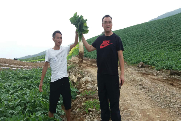 QQ图片20180723124443.jpg QQ图片20180723124443.jpg